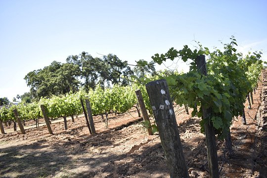 Tour image 9